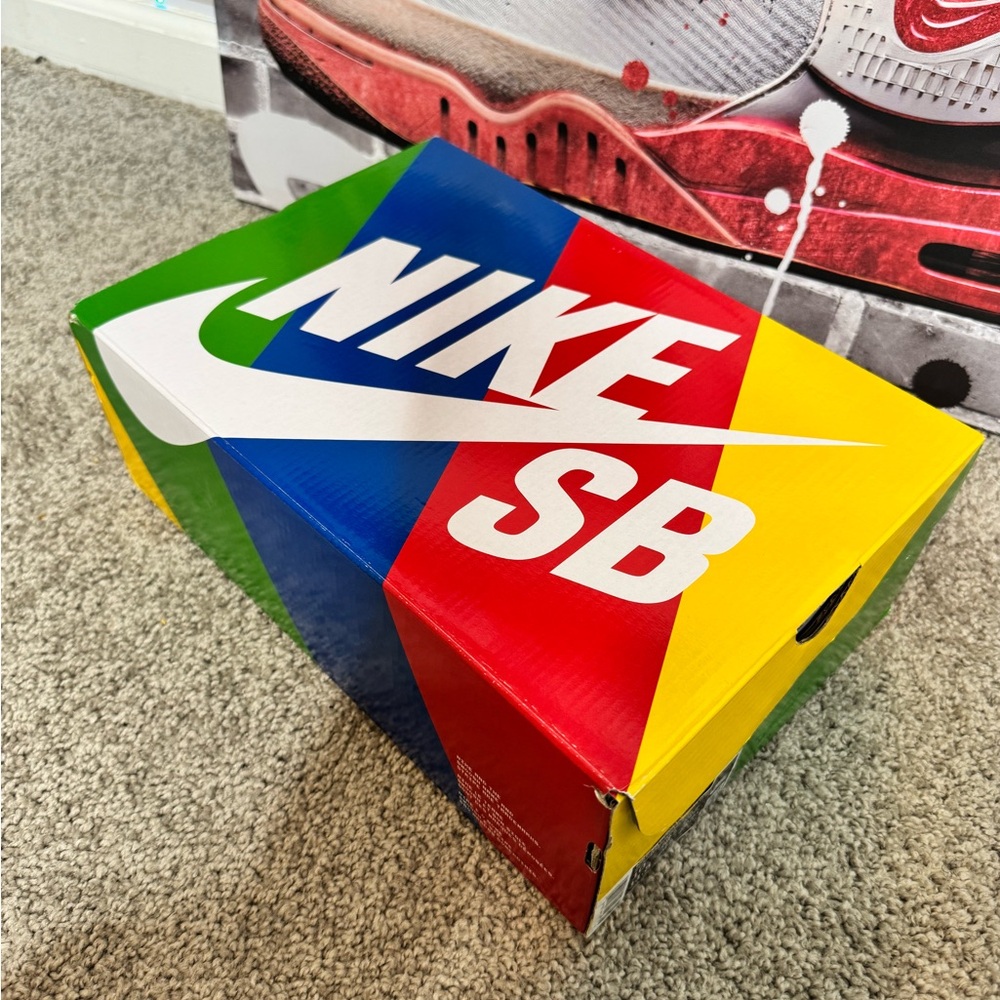 Nike SB Multicolor Shoe Box